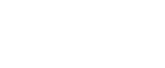 Oodles of Leads logo